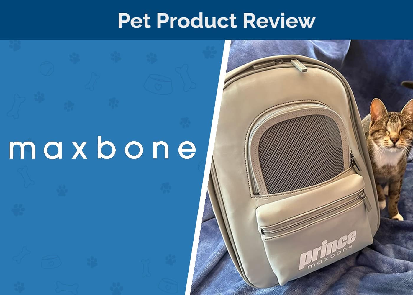 SAPR-maxbone-pet-product-review-cat-with-bag