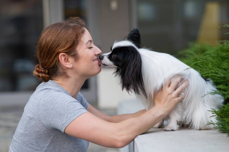 red-haired woman kissing pappilion dog outdoors