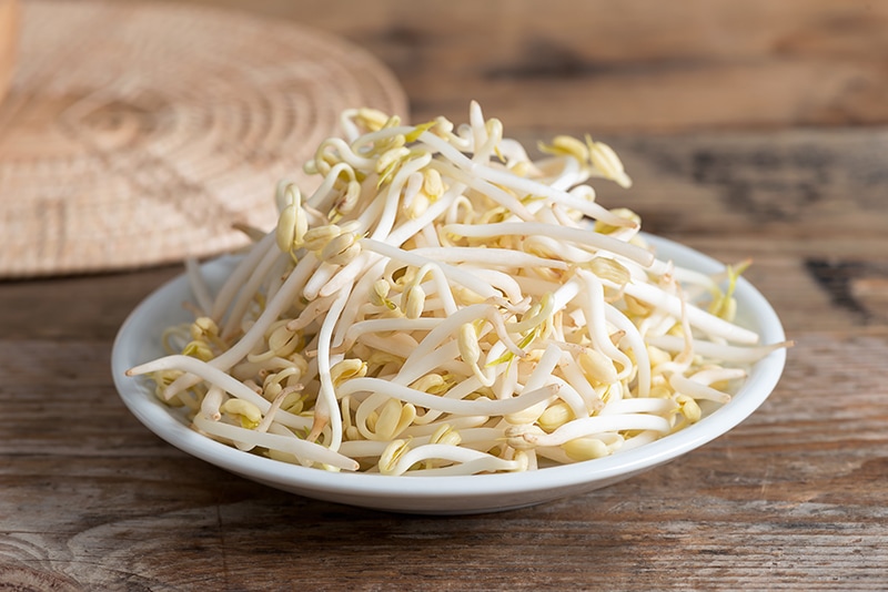 Bean sprouts on wooden background