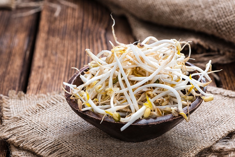 Bowl with Mungbean Sprouts on wooden background