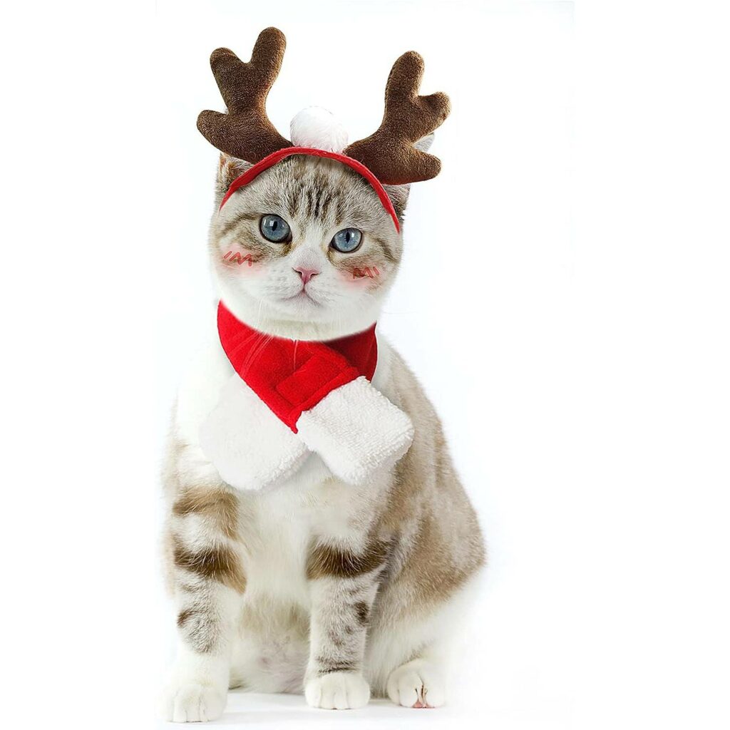 Enjoying Christmas Cat Costume