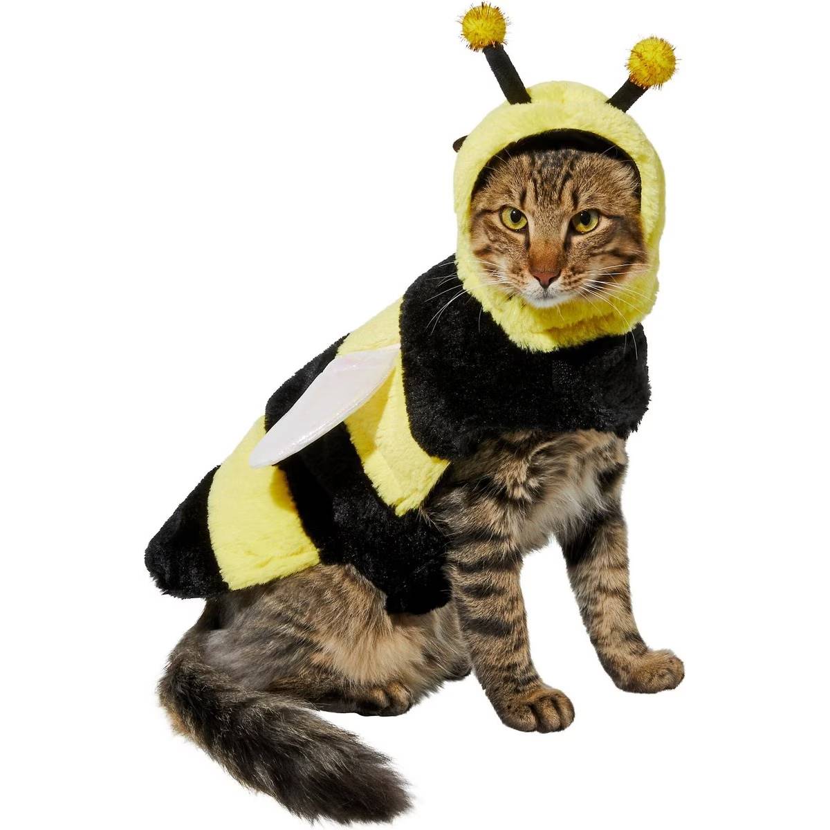 15 Best Costumes for Cats - 2026 Reviews & Top Picks | Hepper Pet Resources