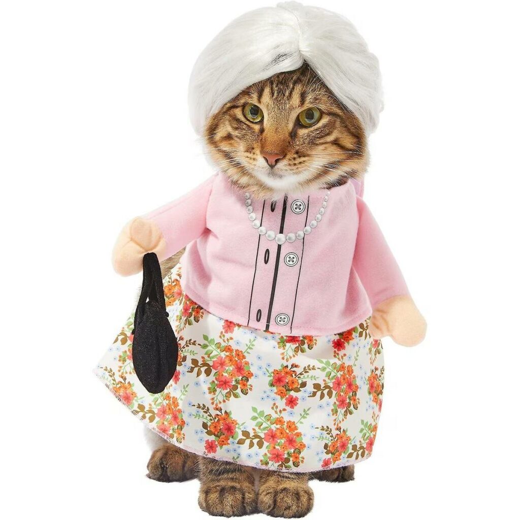 Frisco Front Walking Granny Cat Costum