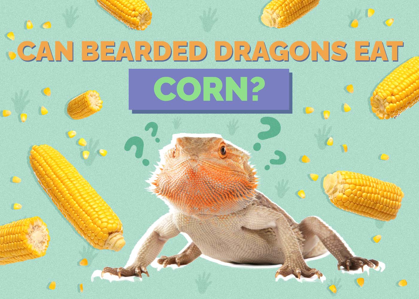 Hepper_Can Bearded Dragons Eat_Corn