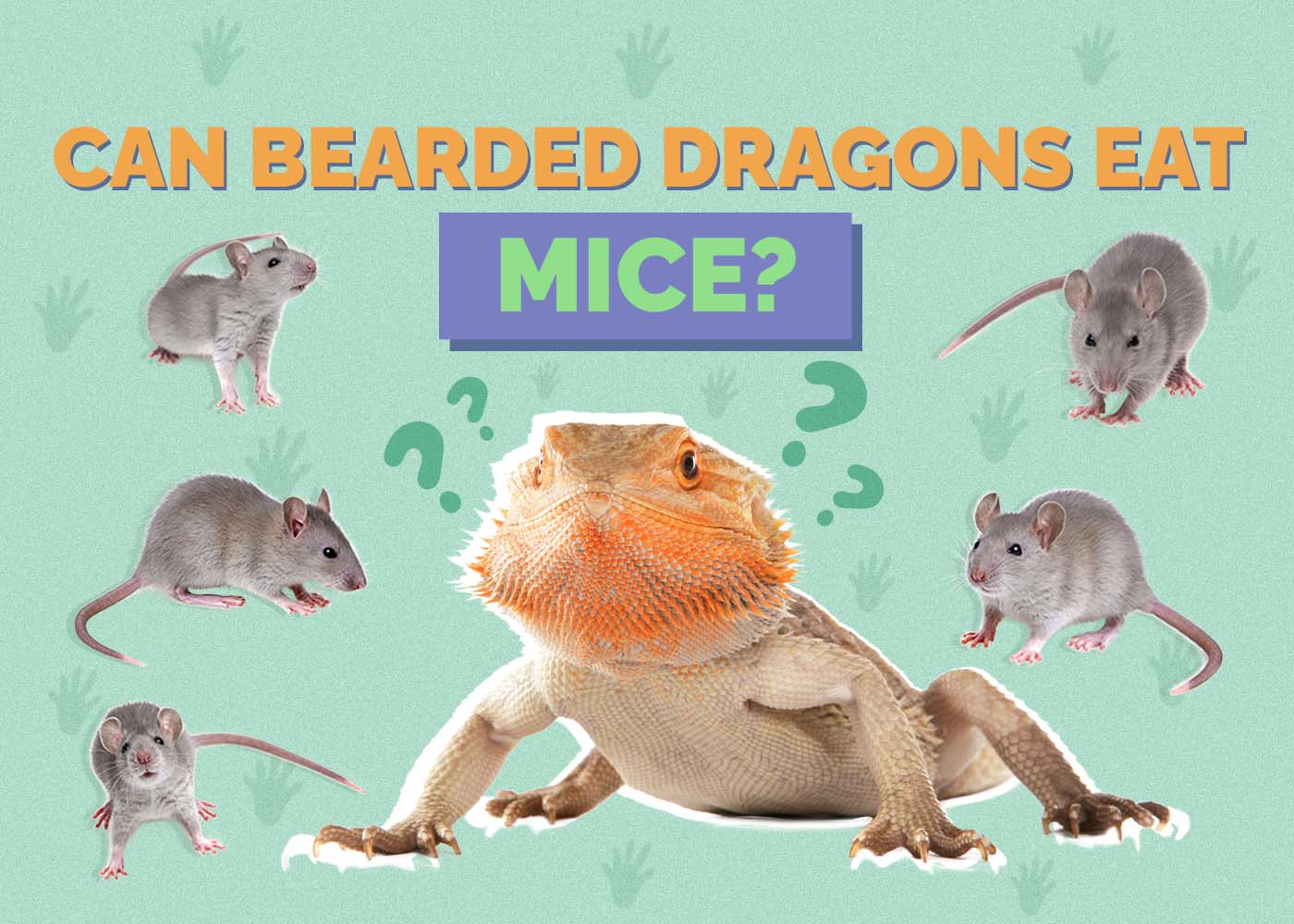 Hepper_Can Bearded Dragons Eat_Mice