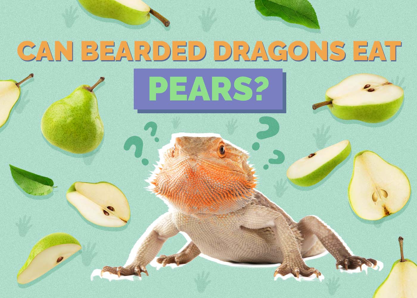 Hepper_Can Bearded Dragons Eat_Pears