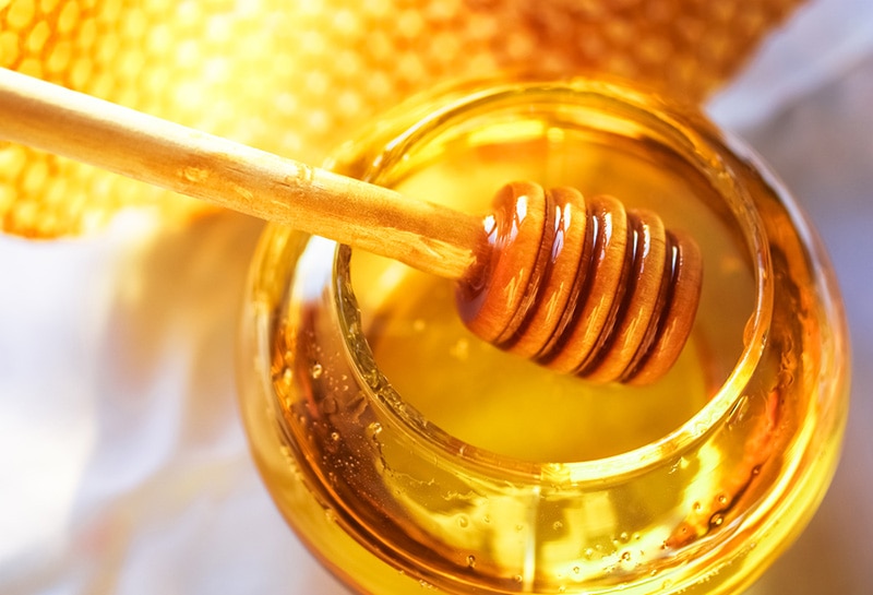 Honey dipper on the bee honeycomb