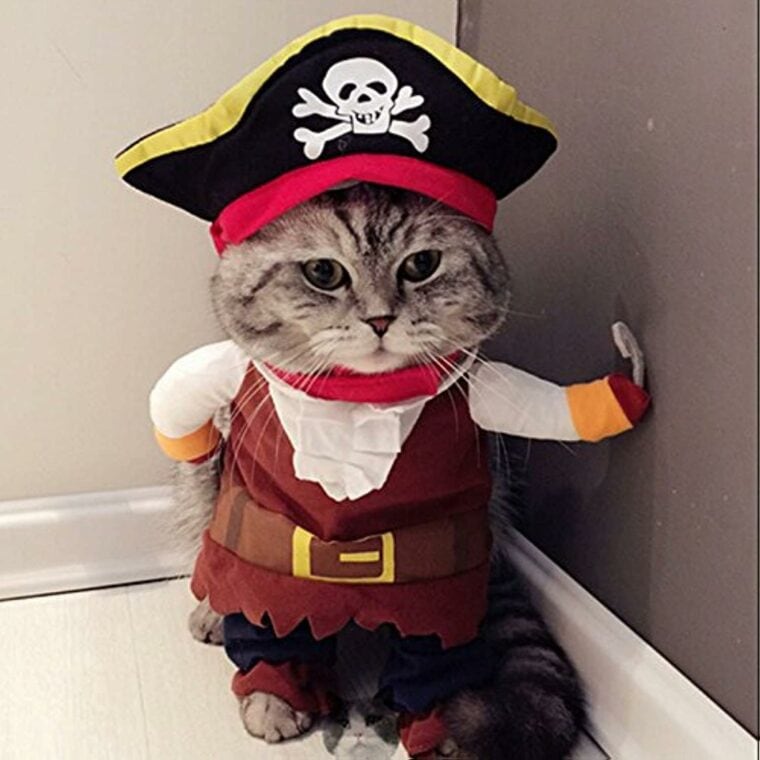 14-best-costumes-for-cats-2026-reviews-top-picks-hepper-pet-resources