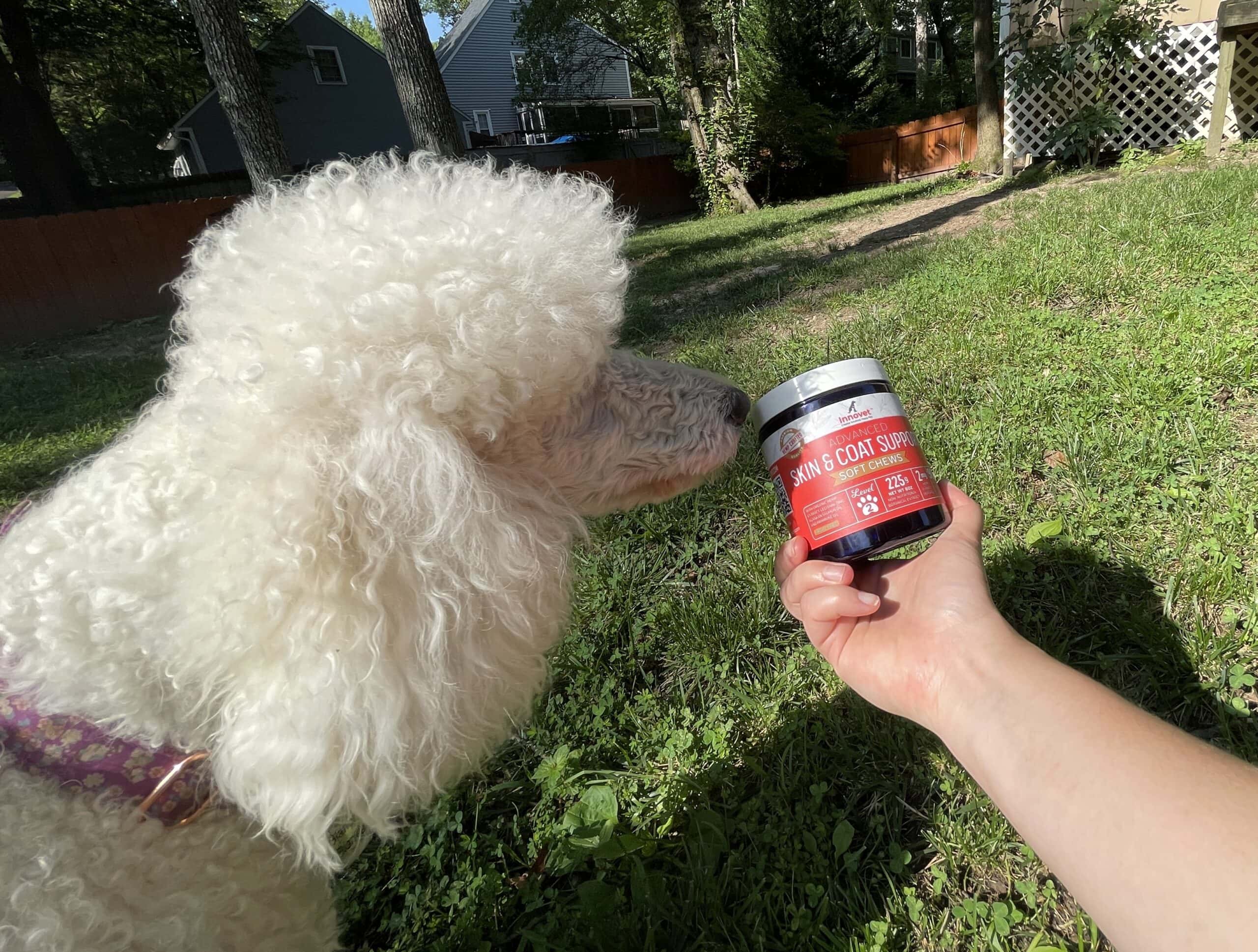 Innovet Soft Chews - Blanche