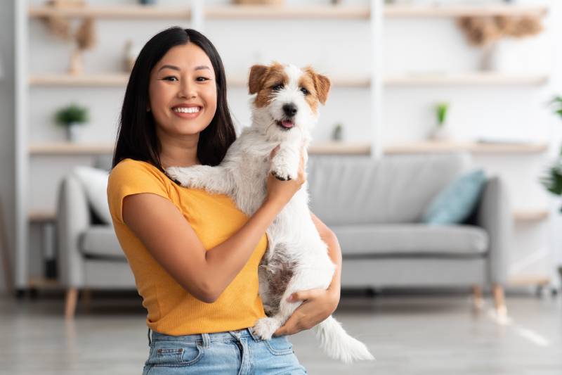 Portrait of cheerful young asian woman in casual outfit carrying her sweet fluffy dog jack russel terrier breed