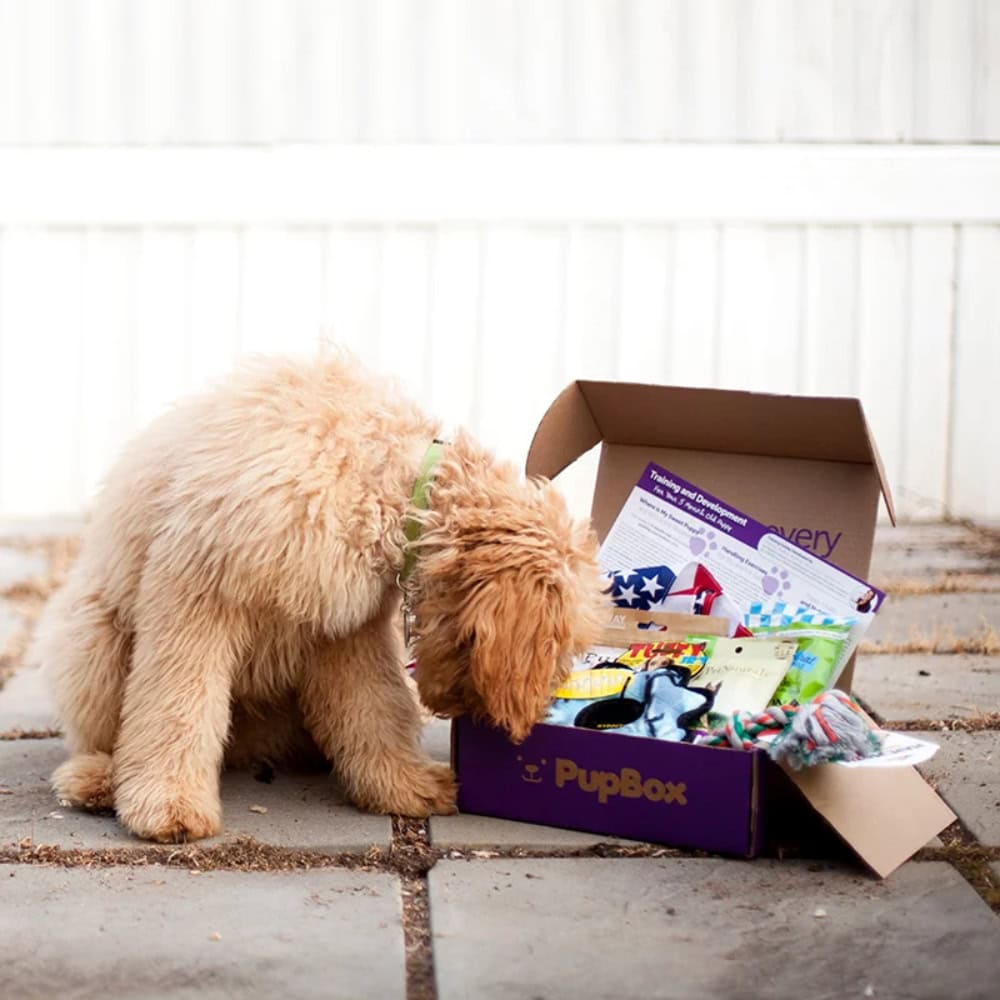 Pup Box