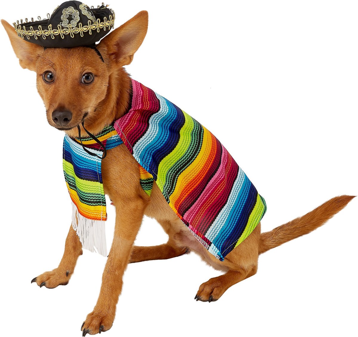 Rubie’s Costume Company Serape Cat Costume