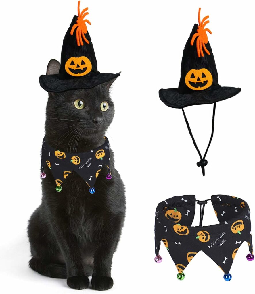 Rypet Halloween Collar and Pumpkin Hat for Cats