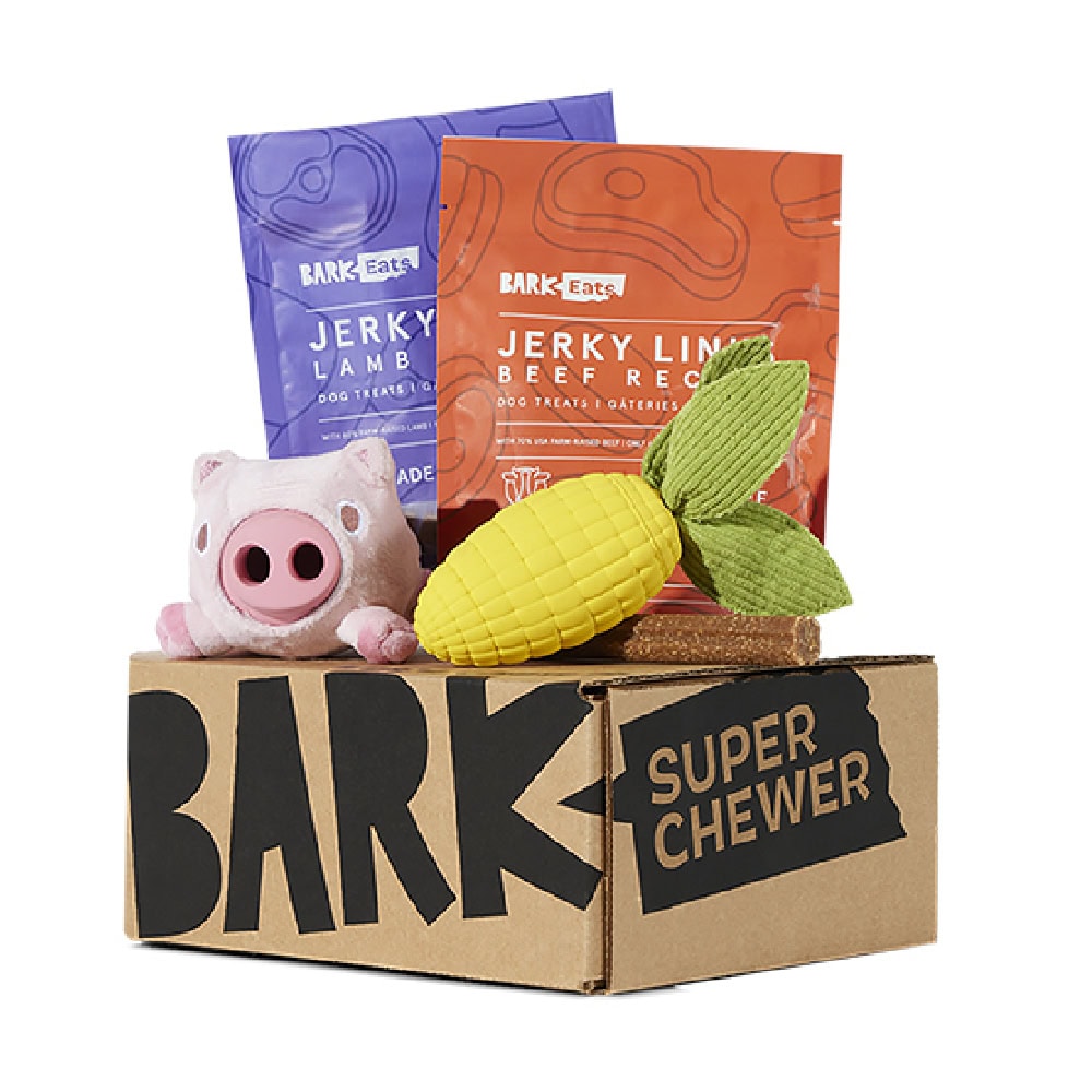 Super Chewer by BarkBox