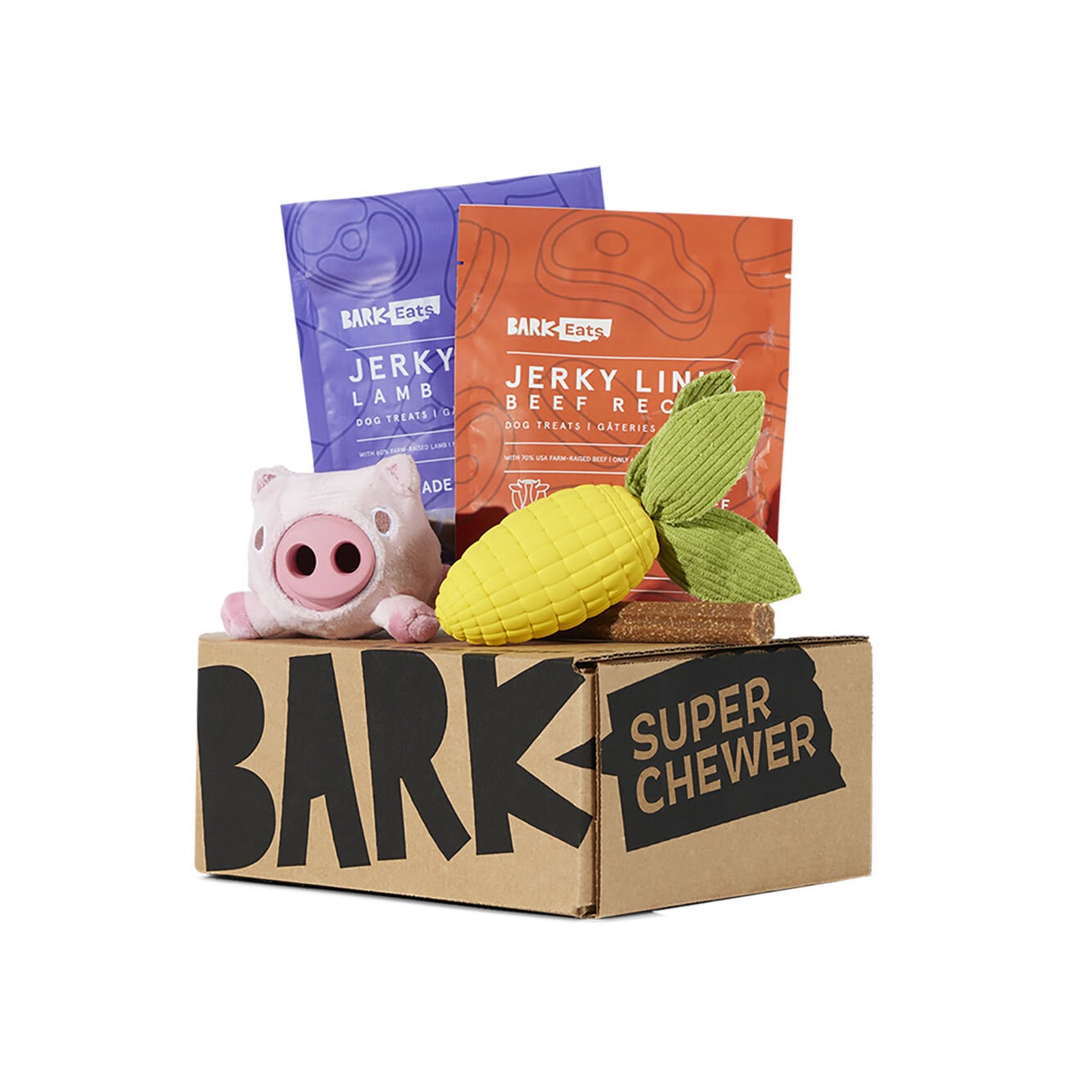 Super Chewer by BarkBox