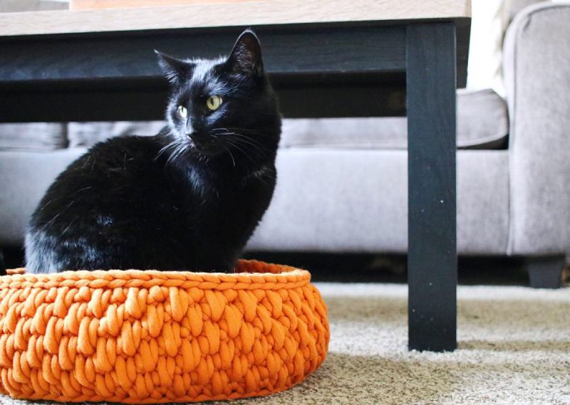 The Big Little Pet Bed, a Round Cat Bed made with Jumbo Yarn.