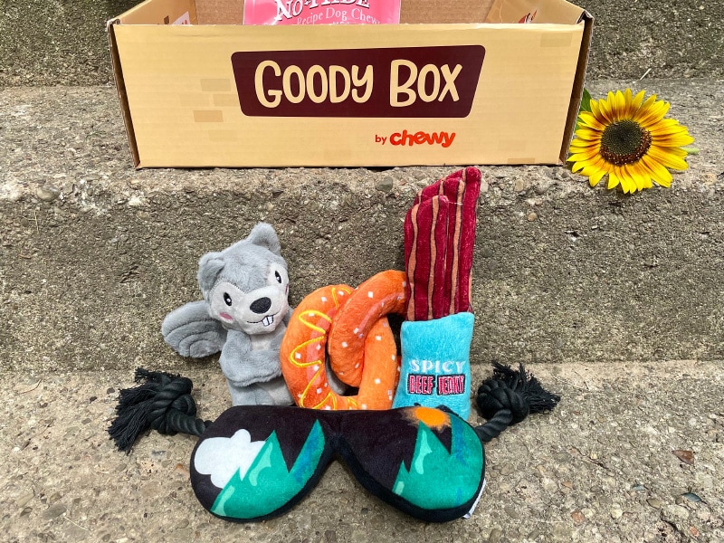 chewy goody box toys