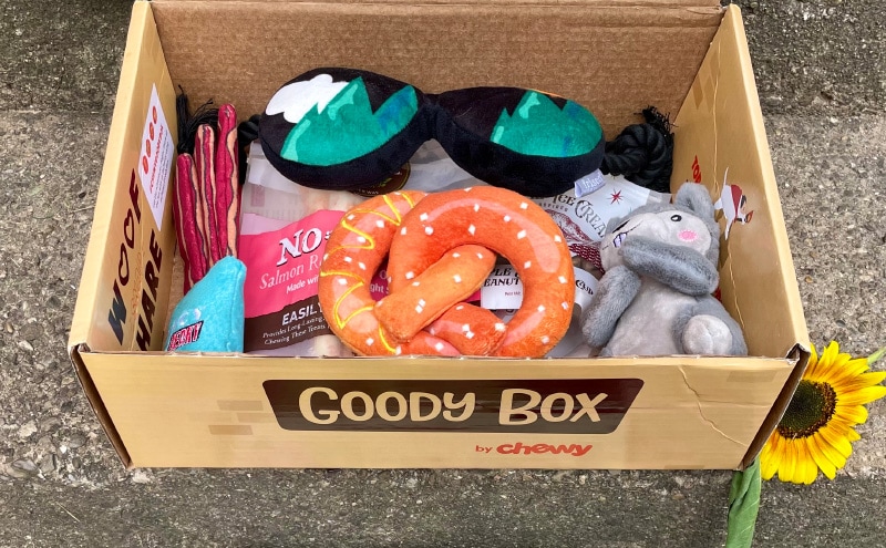 chewy goody box
