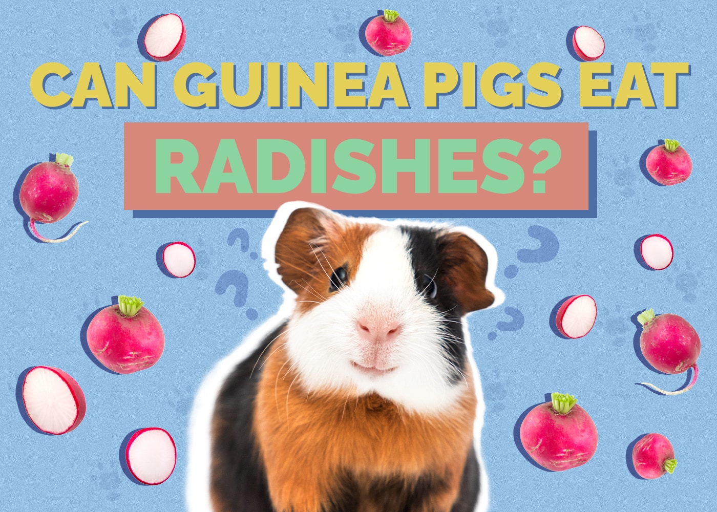 Stunning Summer Radish Guinea Pig Tasteful Treats image