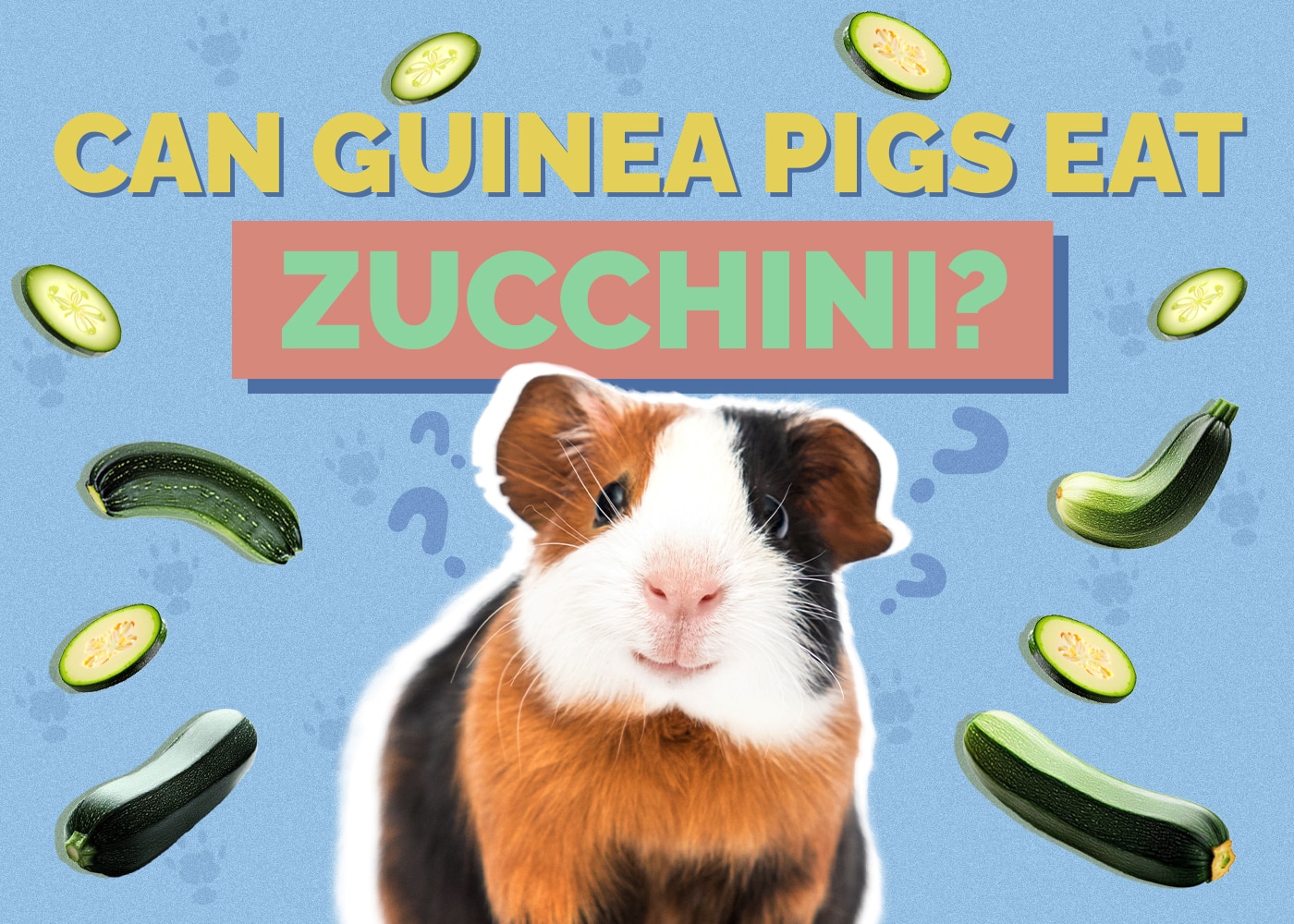 Dynamic Can Guinea Pigs Eat Zucchini Abstract Photography Dynamic Can Guinea Pigs Eat Zucchini Abstract Photography