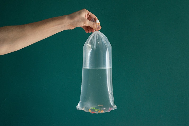 hand holding a bag of random bright colored fishes