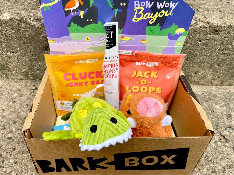 open barkbox with contents