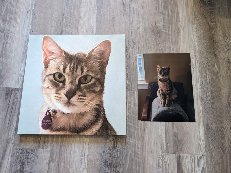 satura's canvaspop portrait and picture