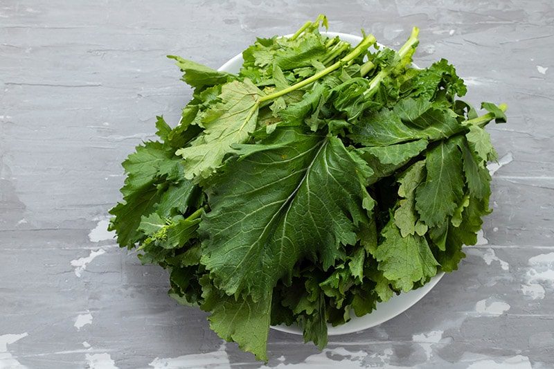 turnip greens on a white bowl