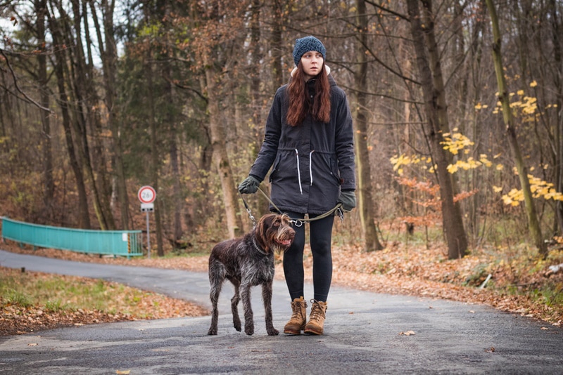 woman with wirehaired pointing griffon