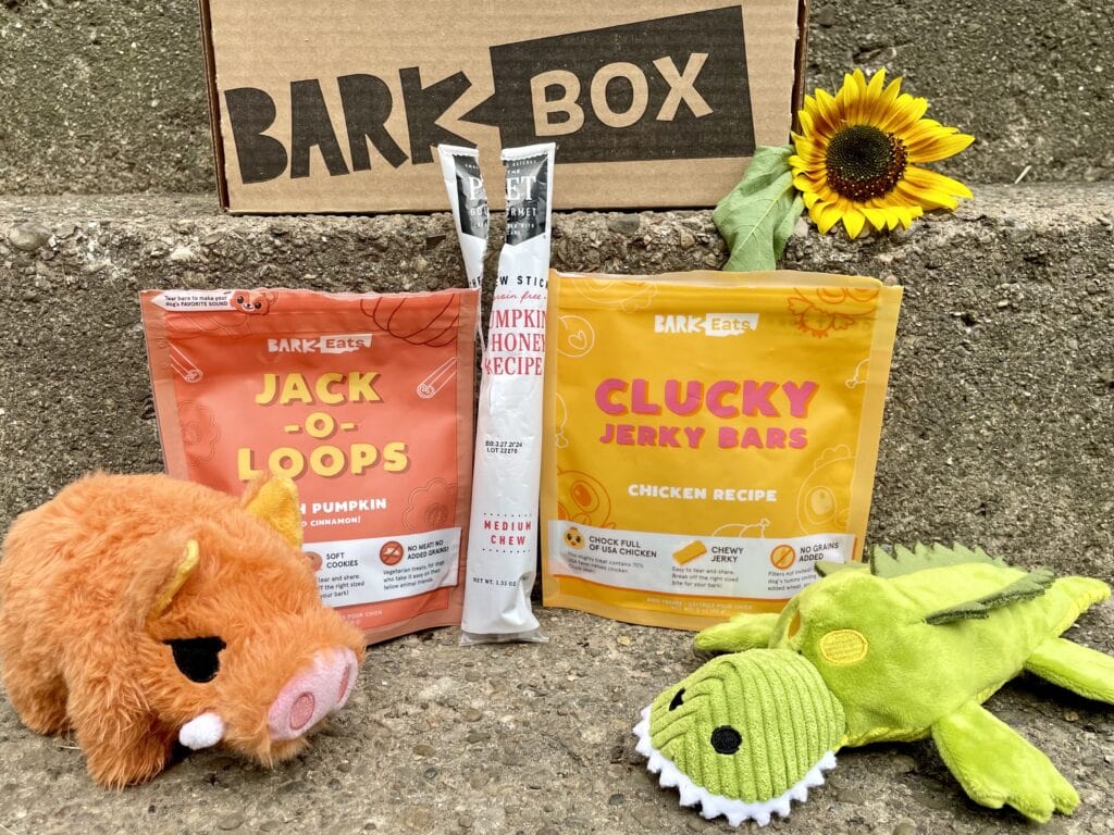 BarkBox contents set up
