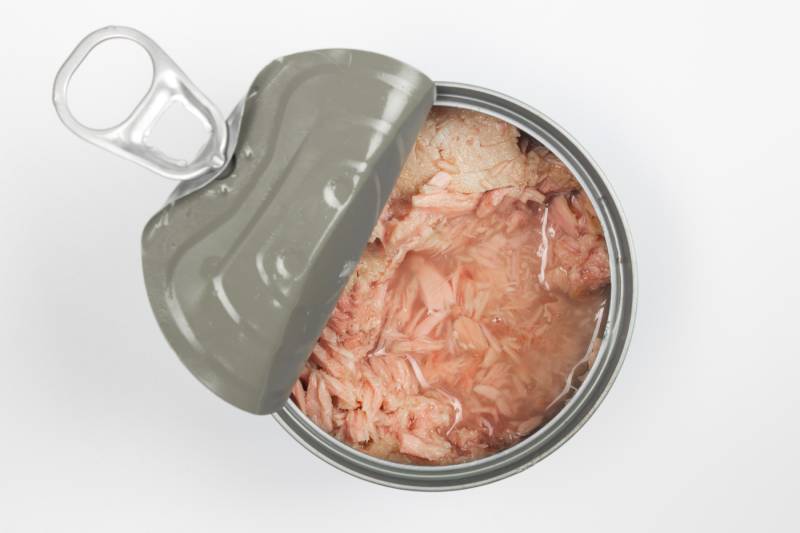 Canned soy free albacore white meat tuna packed in water