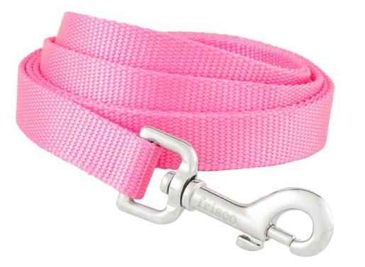 FRISCO Solid Nylon Dog Leash, Pink, Medium