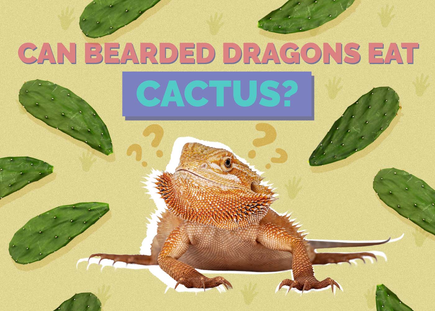 Hepper_Can Bearded Dragons Eat_Cactus