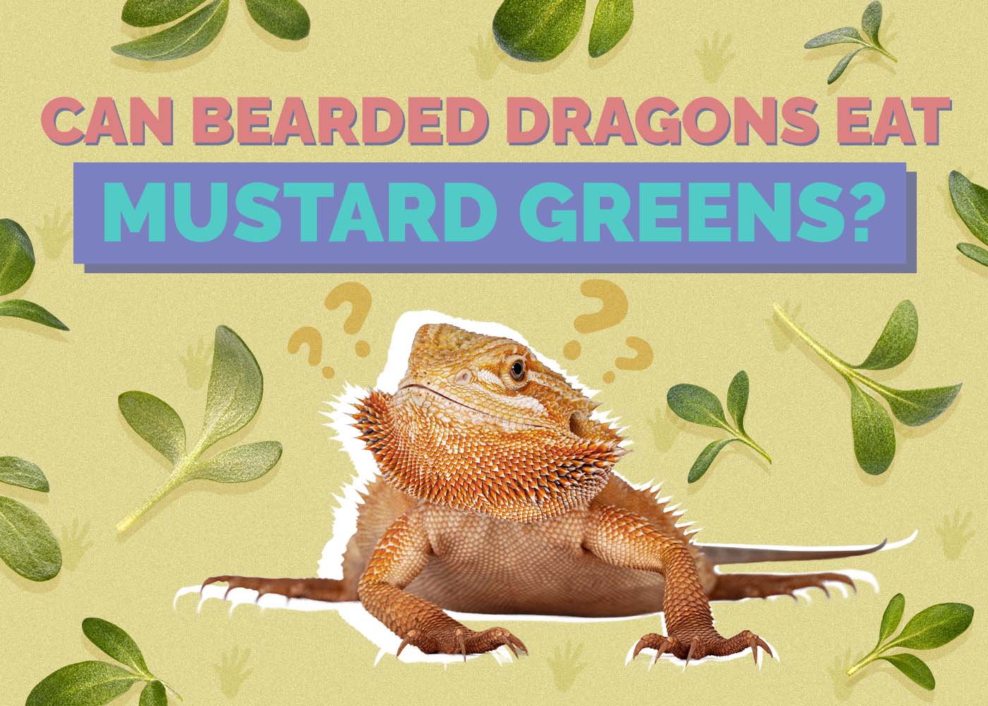 Hepper_Can Bearded Dragons Eat_Mustard Greens