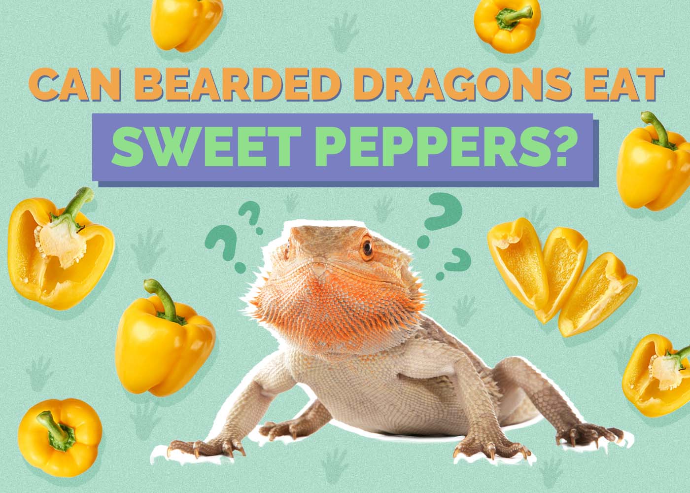 Hepper_Can Bearded Dragons Eat_Sweet Peppers