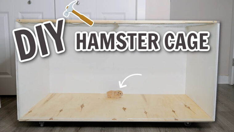 10 DIY Hamster Cages You Can Build at Home (With Pictures) | Hepper Pet ...