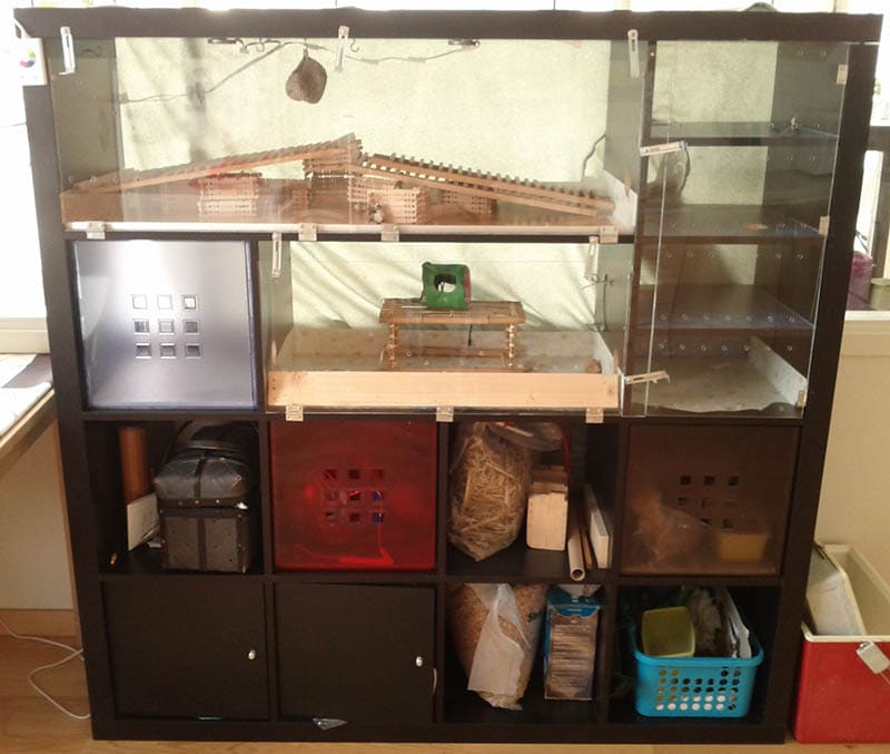 Ikea Hack- Bacon’s Hamster Condo