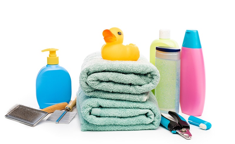 Items for bathing and grooming dog cat