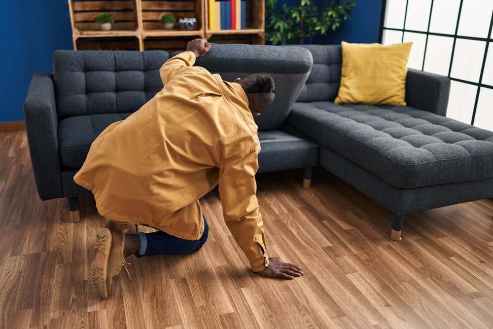 Men searching under the sofa