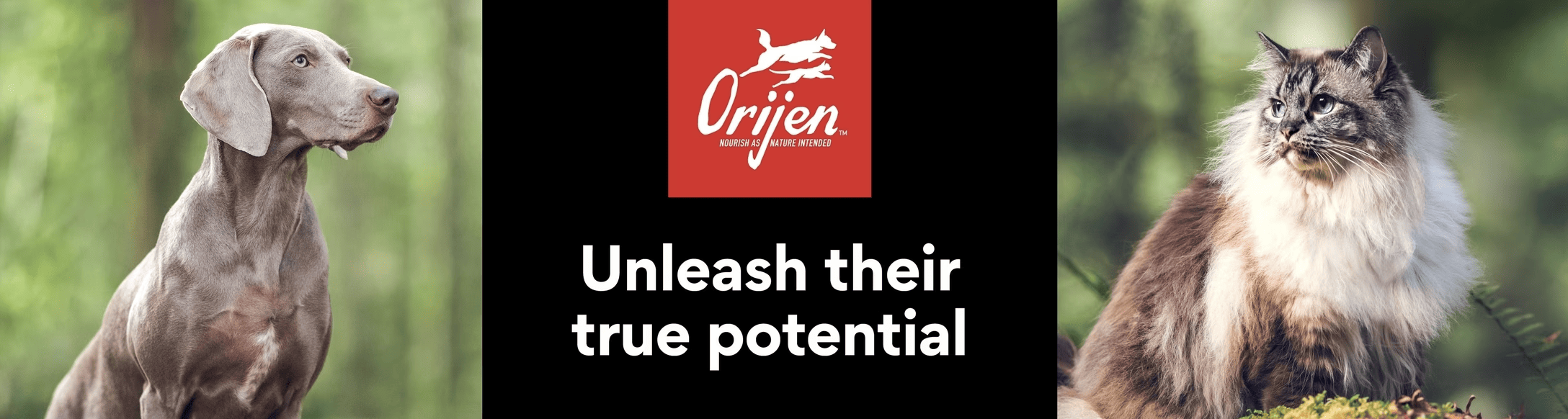 Orijen homepage