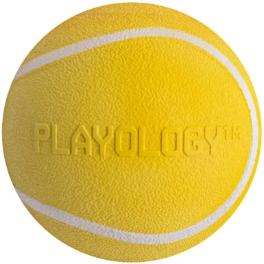 Playology Scented Squeaky Chew Ball Dog Toy