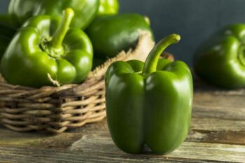Can Bearded Dragons Eat Bell Peppers? Vet-Approved Feeding Facts