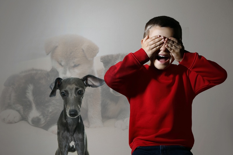 Scared little boy suffering from cynophobia
