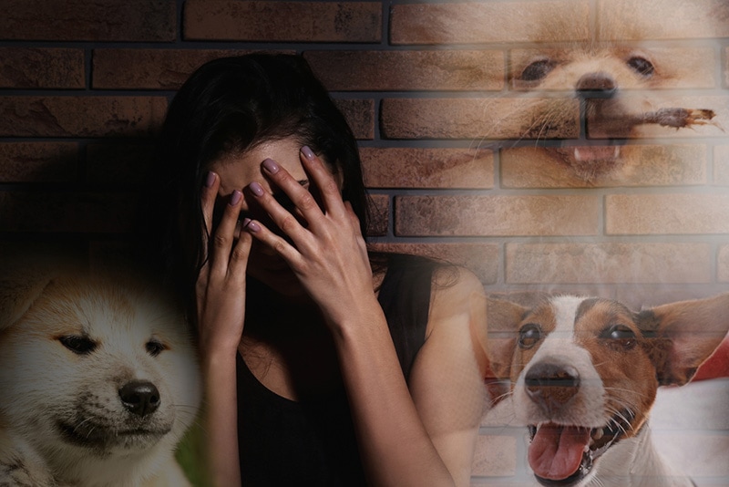 Scared young woman suffering from cynophobia near