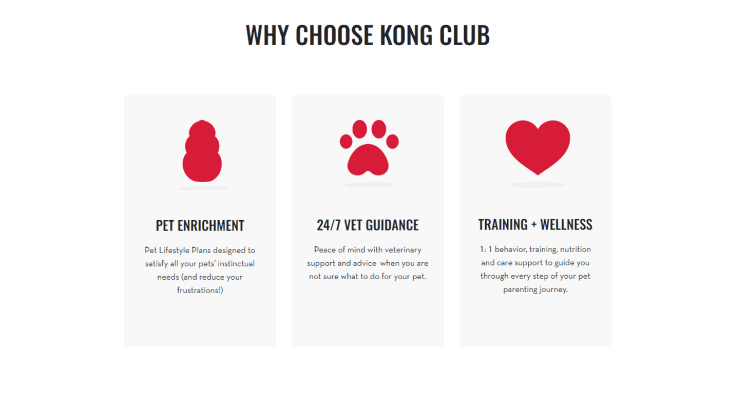 Kong Club 1 