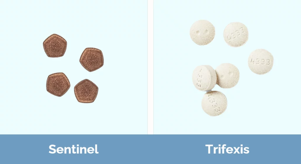 Sentinel vs Trifexis - Visual Differences