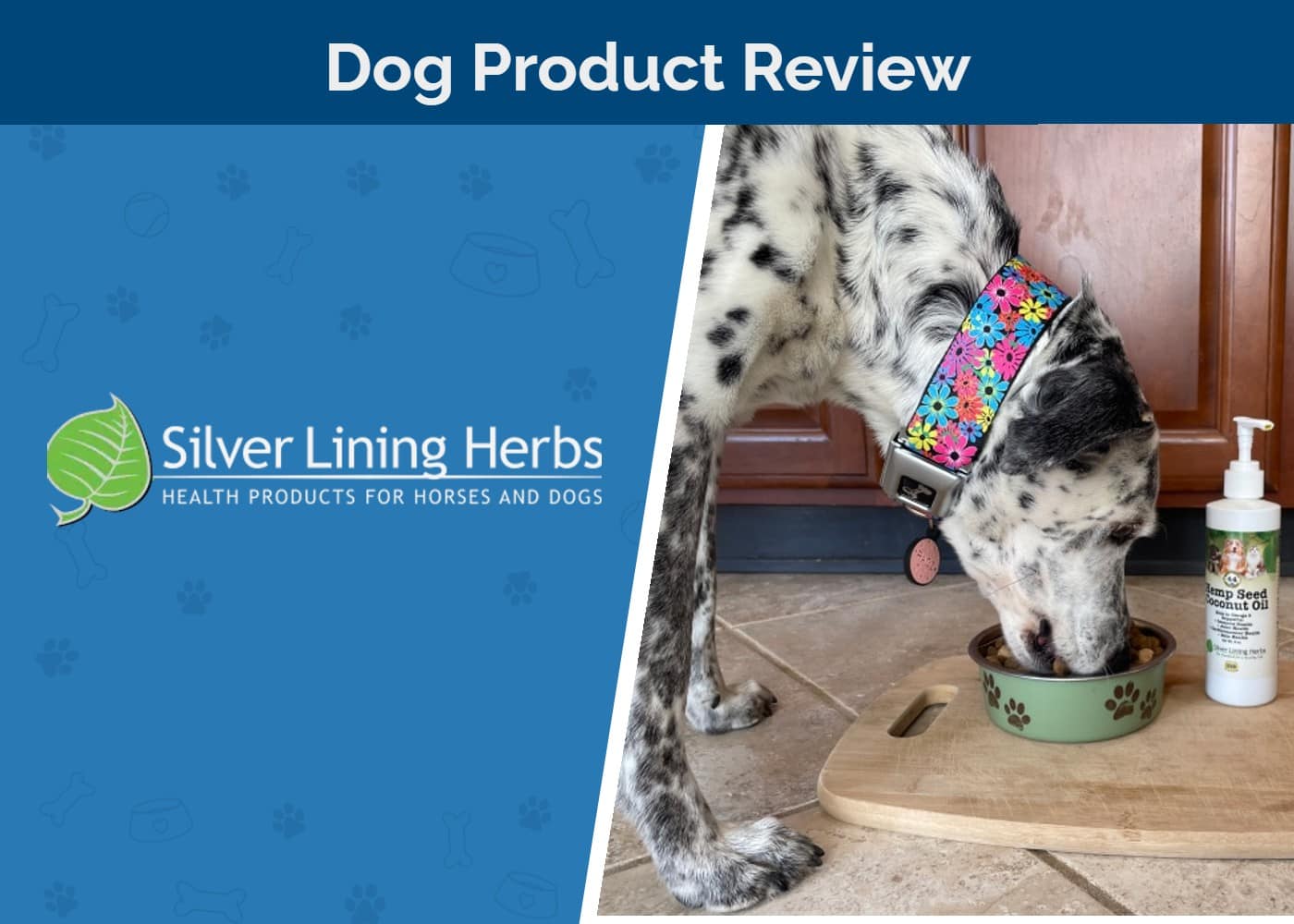 Silver Linings Herbs Dog Supplements Review SAPR FTIMG White logo