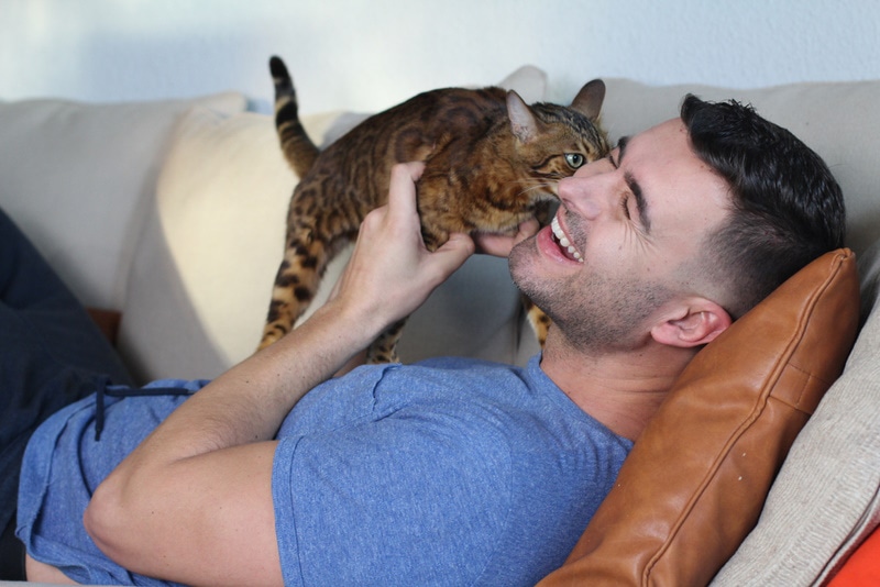 cat licking owners face