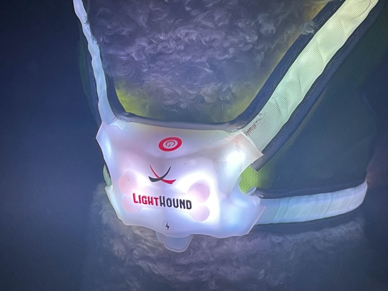 closeup of noxgear lighthound harness