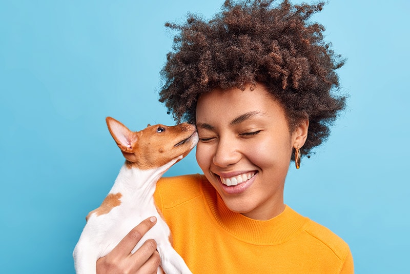 little dog reaching out the woman's hair